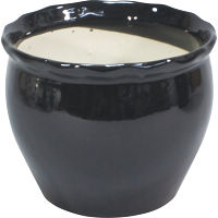 陶器植木鉢 ブラック 