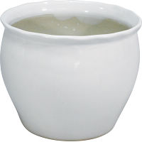 陶器植木鉢 ホワイト 