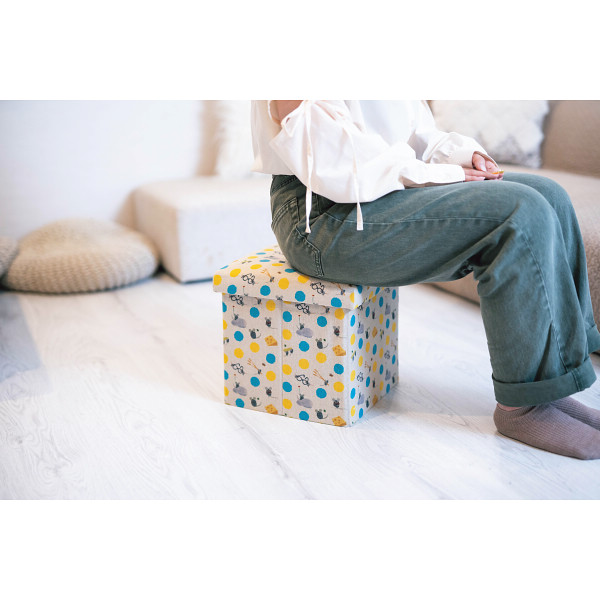 レオレオニ　座ってしまえて畳める便利ボックス　２個セット フレデリック＆レターのサムネイル画像1